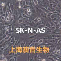 SK-N-AS【SKN-AS; SKNAS】神经母细胞瘤细胞