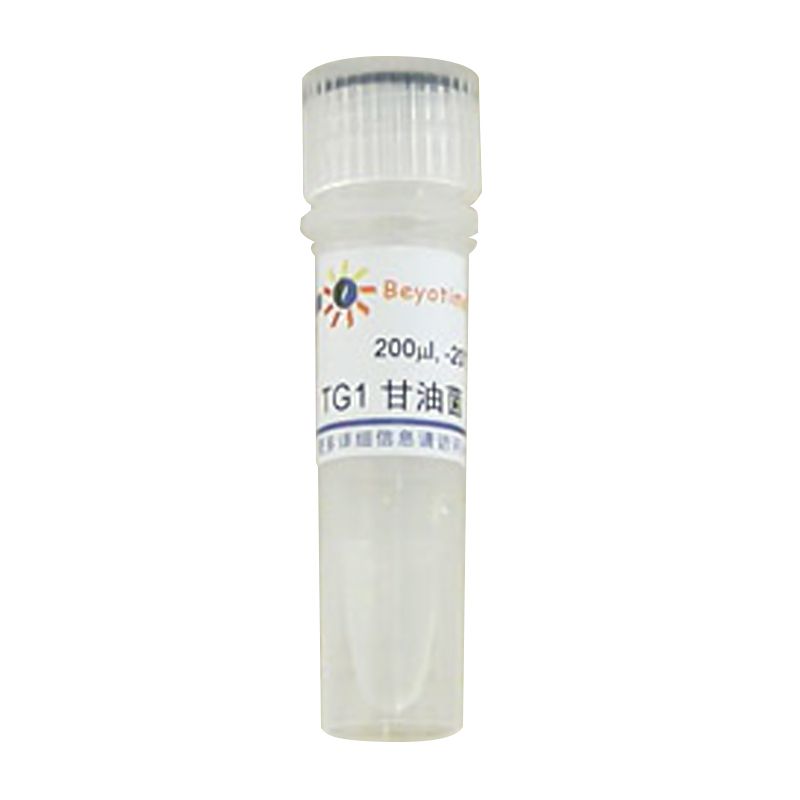 TG1 甘油菌