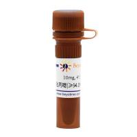 碘化丙啶(≥94.0%, Reagent grade)