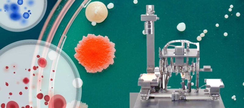 如何正确选择自动克隆菌落挑选仪