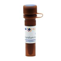 Propidium Iodide/碘化丙啶