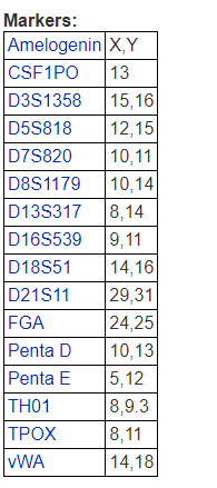 RWPE-1【RWPE1】正常前列腺上皮细胞