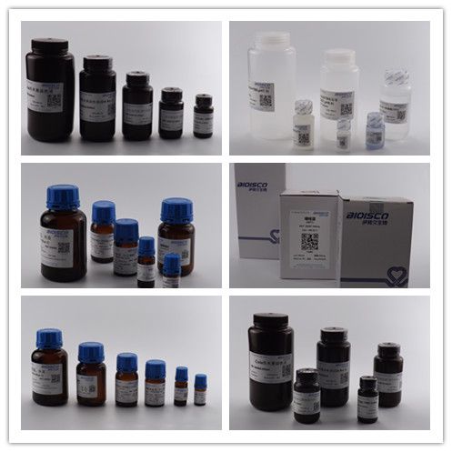 TMB底物顯色試劑盒(ELISA,HRP發光)