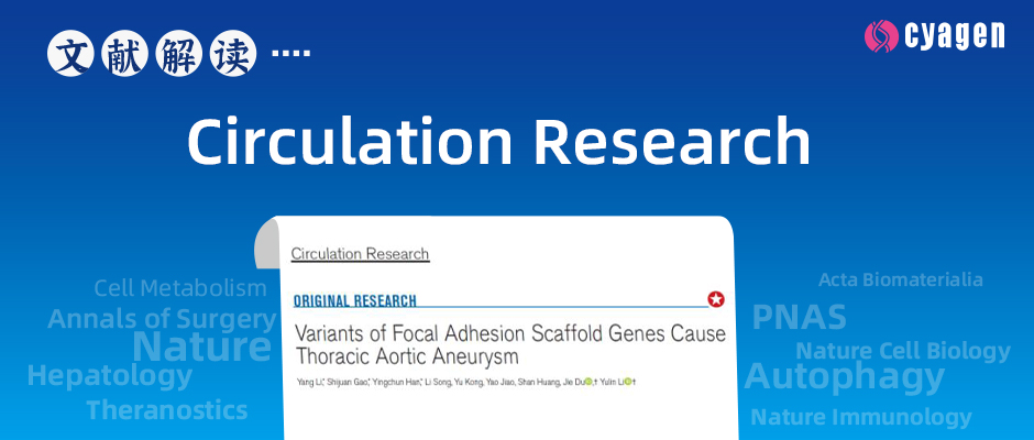散发性孤立性胸主动脉瘤基因突变的全景观