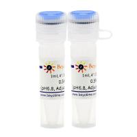 0.5M TCEP (pH6.8, Adjusted with NaOH)