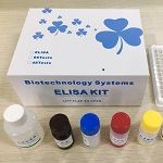 豚鼠/狗等细胞因子ELISA试剂盒检测