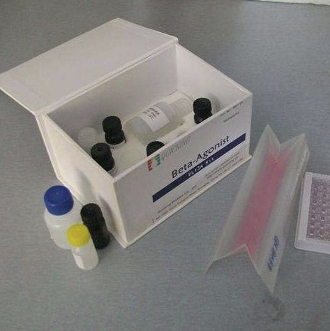 植物叶绿素（chlorophyll）含量生化试剂盒
