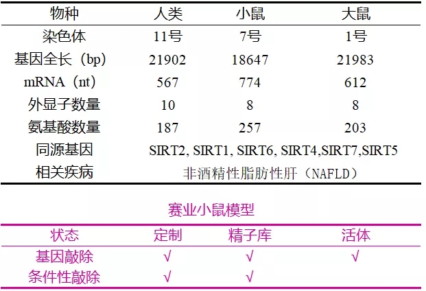 Sirt3基因敲除小鼠与非酒精性脂肪肝