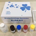  人/大鼠/小鼠等细胞因子ELISA试剂盒检测