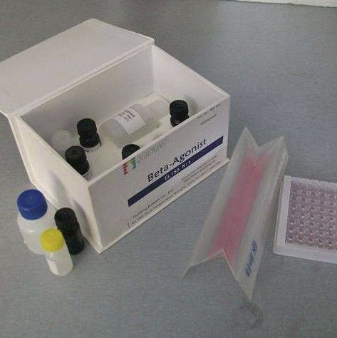 糖原磷酸化酶b（GPb）生化试剂盒