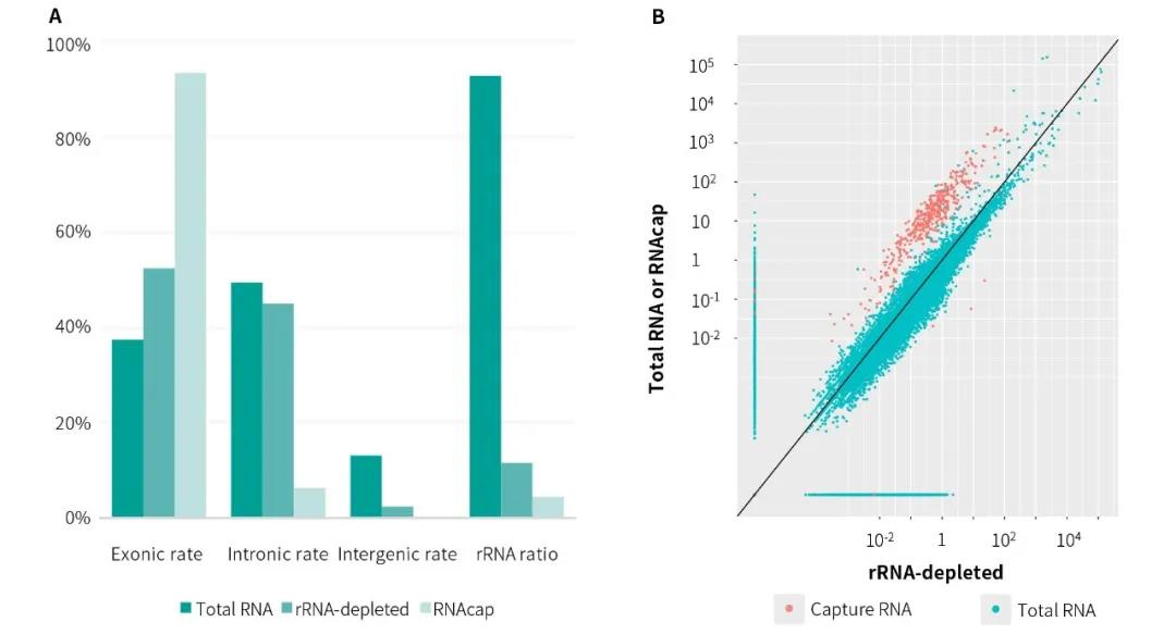 FFPE 样本 RNA 靶向捕获应用指南