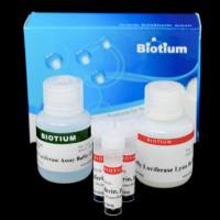 Firefly Luciferase Assay Kit 2.0 30085-1