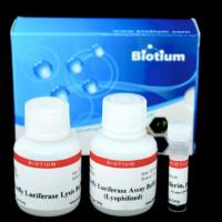 萤火虫荧光素酶检测试剂盒 Biotium 30075-1