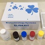 兔/猪等细胞因子ELISA试剂盒检测