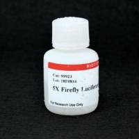 5X Firefly Luciferase Lysis Buffer 99923