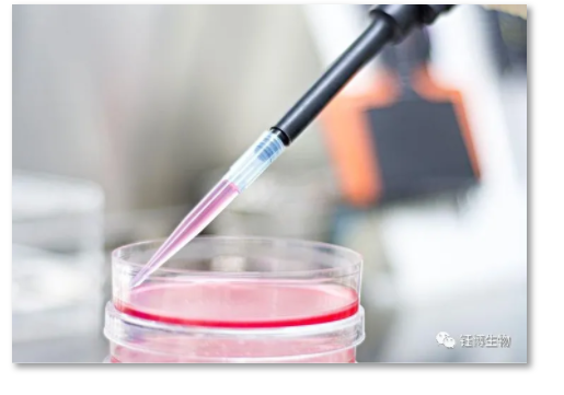 细胞培养-无菌操作环境的构建