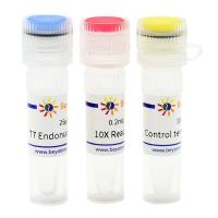 T7 Endonuclease I (CRISPR等基因突变鉴定用)