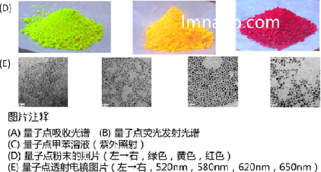 620nm 油溶性CdSe量子点