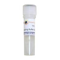 Annealing Buffer for DNA Oligos (5X)