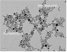 多聚赖氨酸修饰的四氧化三铁磁性纳米颗粒