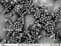 1um 羧基化磁微球