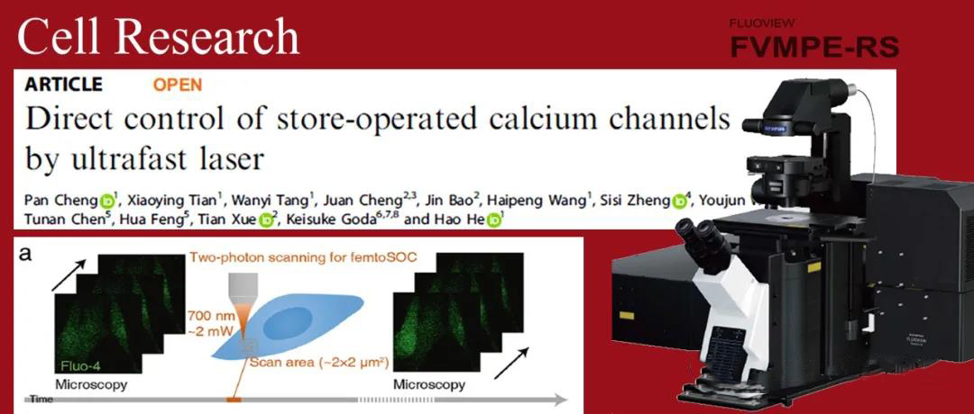科技前沿丨双光子显微镜「点亮」大脑