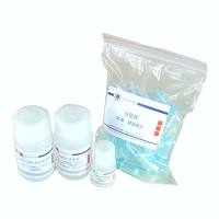 PCR纯化试剂盒/DNA纯化试剂盒