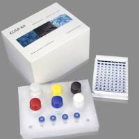 依诺沙星残留ELISA测试盒（抗生素残留）