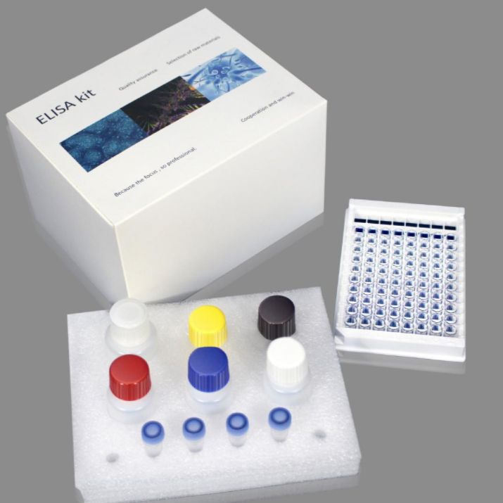 皮质酮（CORT）含量试剂盒（HPLC）