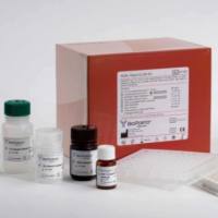 沙拉沙星残留ELISA测试盒（抗生素残留）