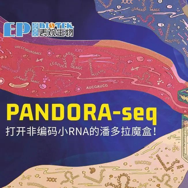 PANDORA-seq，打开非编码小RNA的潘多拉魔盒！