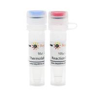 Thermolabile dsDNase