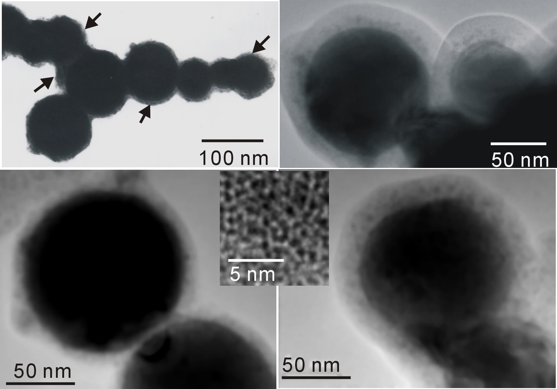 10nm 纳米铜溶液