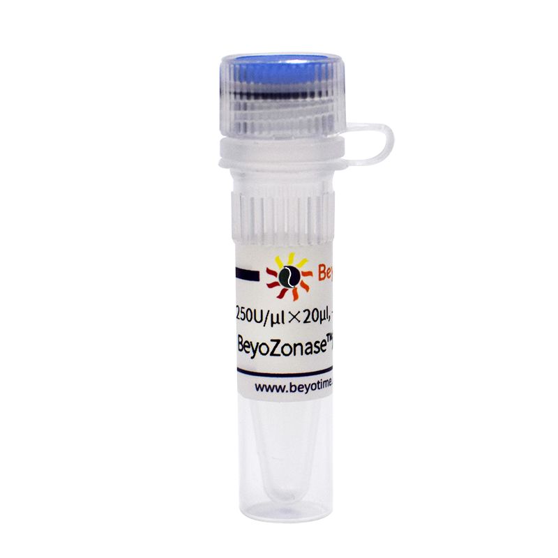 BeyoZonase™超级核酸酶(≥99%)