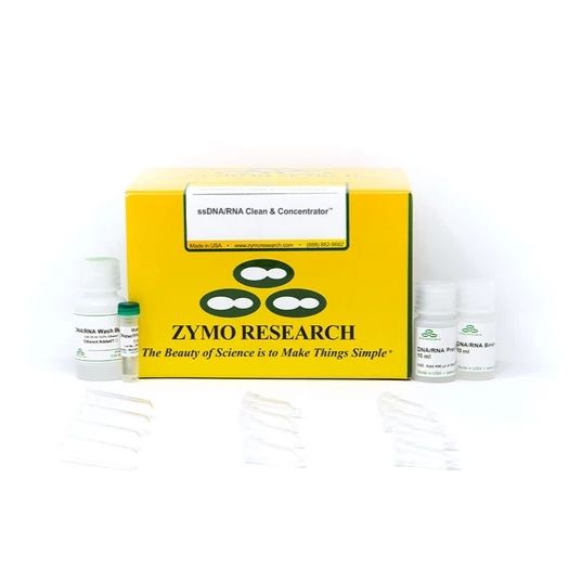 ssDNA/RNA Clean & Concentrator