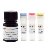 新型冠状病毒(2019-nCoV)双荧光qRT-PCR试剂盒