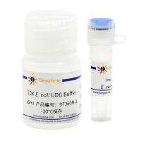 Uracil-DNA Glycosylase (E. coli)