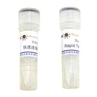 快速DNA连接试剂盒