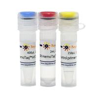 HemoTaq™ HF DNA Polymerase (Blood-resistant)
