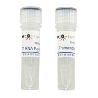 T7 RNA Polymerase