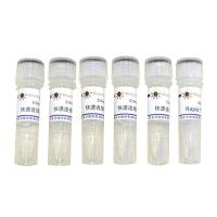 快速DNA连接试剂盒