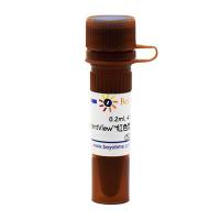 InstantView™红色荧光DNA Marker染料(50X)