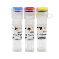 PlantTaq™ DNA Polymerase (Chlorophyll-resistant)