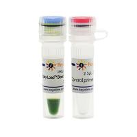 Easy-Load™ Blood Direct PCR Master Mix (2X) (试用装)