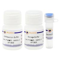 牛痘DNA拓扑异构酶I