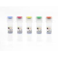 PCR Buffer套装(PCR优化用)