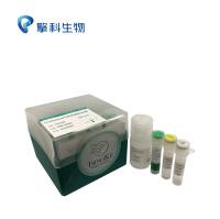 T5 Direct  PCR  kit（Blood）/血液／唾液样品直接扩增，高保真度，极速延伸（10s/kb）/PCR系列/擎科生物TSINGKE