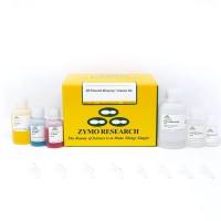 ZR Plasmid Miniprep - Classic