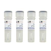 dNTP (4管套装, 100mM)