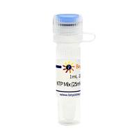 NTP Mix (25mM each, Nuclease free)